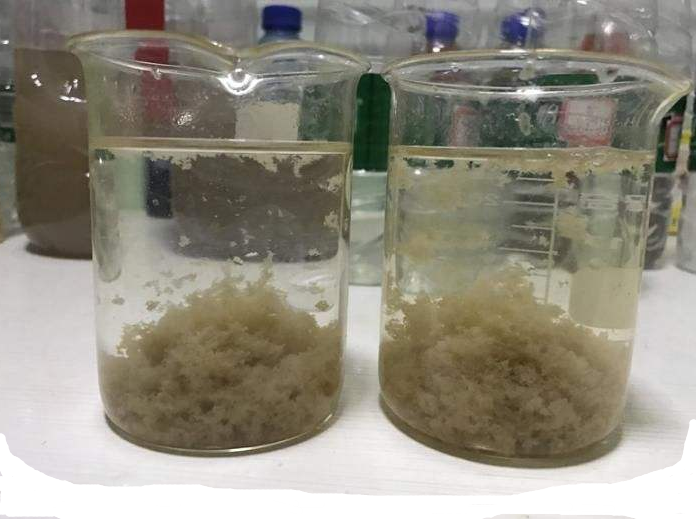 聚丙烯酰胺 聚丙烯酰胺